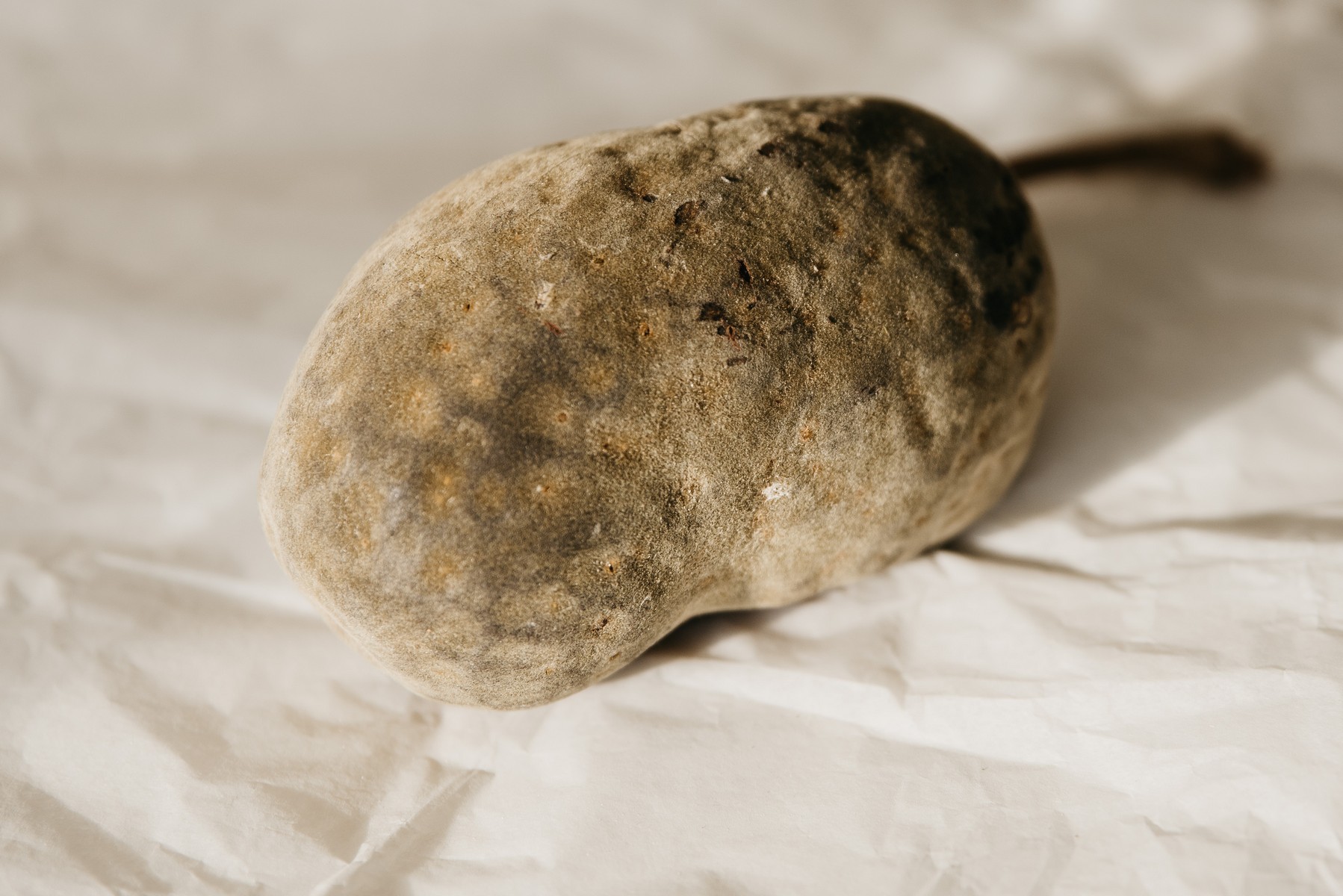 Baobab ulje