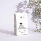king-alminty-60
